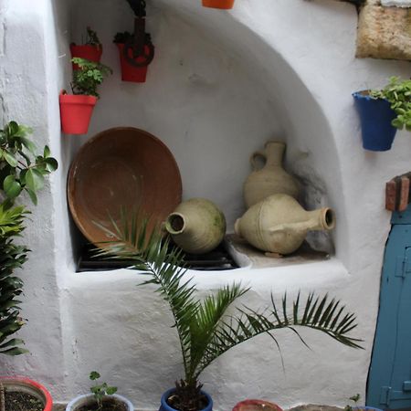 Vivienda Turistica De Alojamiento Rural Silla Vieja Vejer de la Frontera Extérieur photo