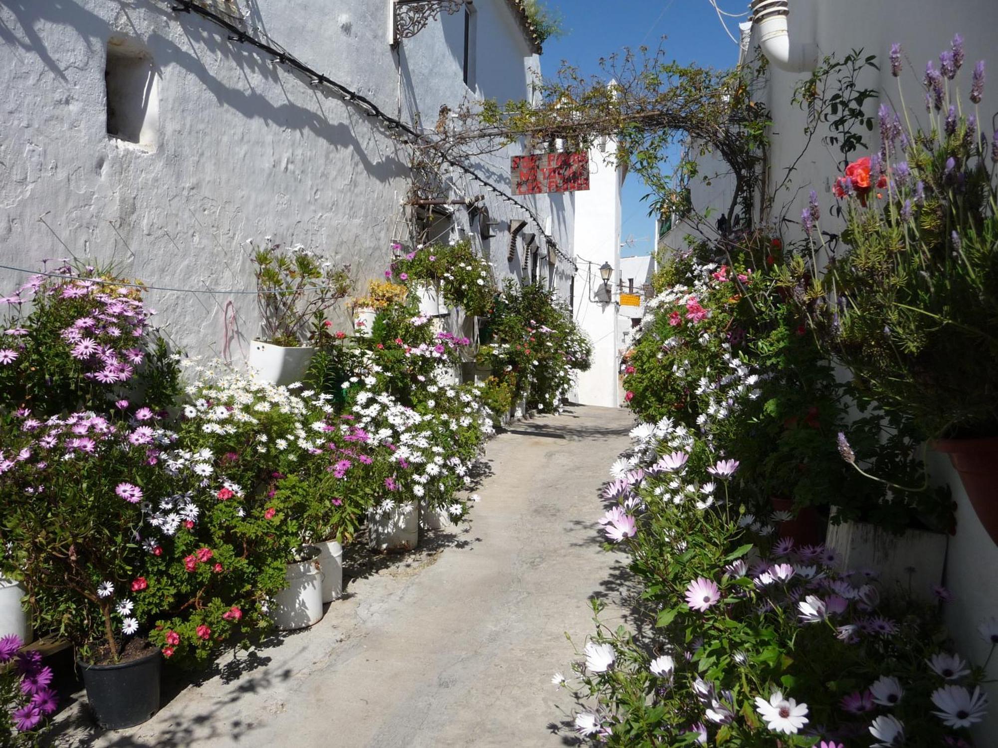 Vivienda Turistica De Alojamiento Rural Silla Vieja Vejer de la Frontera Extérieur photo