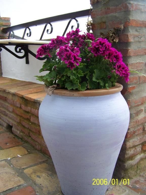 Vivienda Turistica De Alojamiento Rural Silla Vieja Vejer de la Frontera Extérieur photo